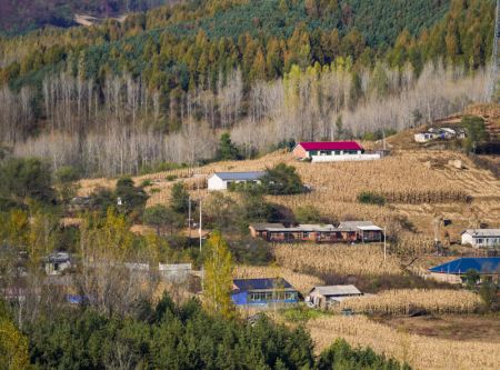 (miniature) Un village aux alentours du Parc forestier national de la pierre rouge de Jilin