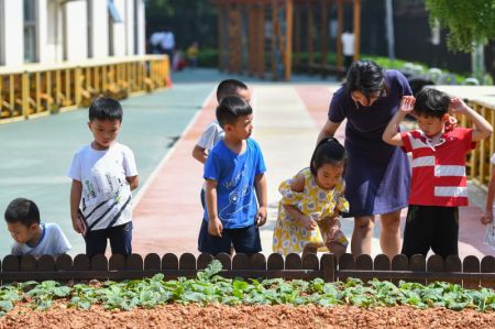 (miniature) Une enseignante aide les enfants à connaître des plantes dans un jardin d'enfants à Changsha