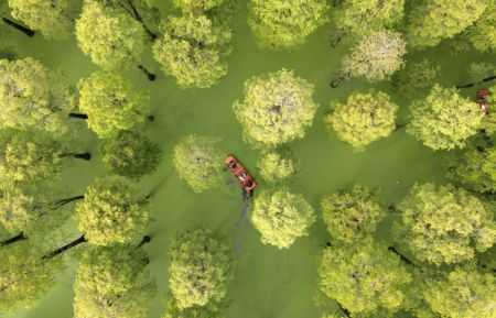 (miniature) Photo aérienne de touristes faisant une excursion en bateau dans le parc de la zone humide du lac Luyang