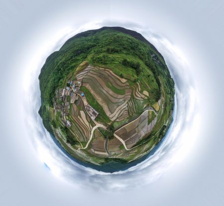(miniature) Photo aérienne panoramique de champs en terrasse de Lali
