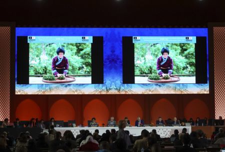 (miniature) La proposition Techniques traditionnelles de transformation du thé et pratiques sociales associées en Chine a réussi l'examen lors de la 17e session du Comité intergouvernemental de l'Organisation des Nations unies pour l'éducation