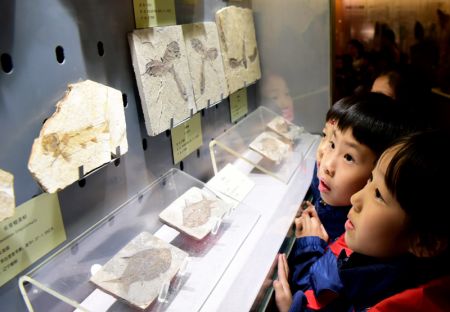 (miniature) Des élèves de l'école Chunhua participent à une visite éducative scientifique au Musée d'histoire naturelle du Henan