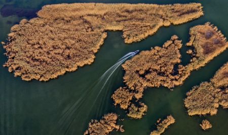 (miniature) Photo aérienne prise le 27 octobre 2020 montrant le lac Ulan Suhai dans la région autonome de Mongolie intérieure (nord)