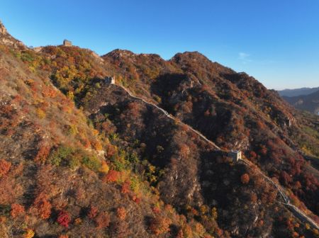 (miniature) Photo aérienne du paysage d'automne de la Grande Muraille de Qingshanguan
