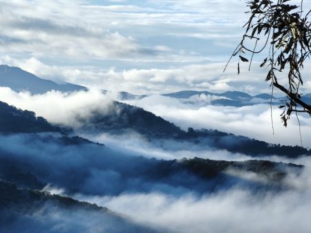 (miniature) Cette photo prise avec un téléphone portable montre une vue de la montagne Jingmai