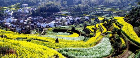 (miniature) Les 30 plus beaux comtés de Chine