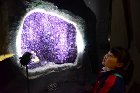 (miniature) Une élève de l'école Chunhua participe à une visite éducative scientifique au Musée d'histoire naturelle du Henan