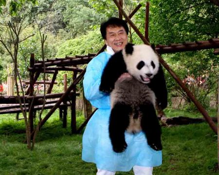 (miniature) Jackie Chan et un panda géant