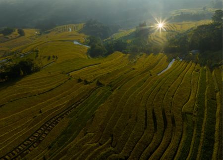 (miniature) Photo aérienne d'une partie des champs en terrasse des Hani à Yuanyang