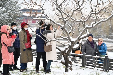 (miniature) Des gens prennent des photos de la neige près du Musée du Palais