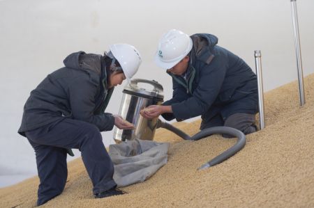 (miniature) Des employés prélèvent des échantillons de graines de soja nouvellement achetées dans une société du China Grain Reserves Group (Sinograin)