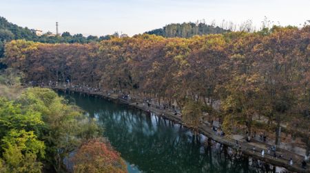 (miniature) Paysage d'automne du Parc national urbain de zones humides de Huaxi à Guiyang