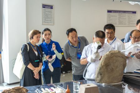 (miniature) Des invités visitent un hôpital de reliques culturelles pour les sculptures rupestres de Dazu