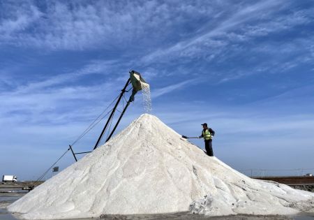 (miniature) Des travailleurs récoltent du sel dans un champ de sel du bourg de Binhai