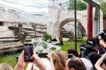 (miniature) Le panda géant femelle Ding Ding est admiré par des visiteurs au zoo de Moscou