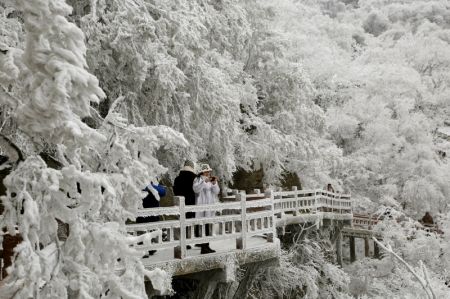 (miniature) Des personnes admirent le paysage de givre dans la zone panoramique de la montagne Yuntaishan sur la mer