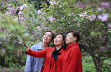 Photos Chine : activits en plein air au milieu des fleurs
