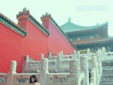 Chine : Des photos de nus  la Cit Interdite font scandale